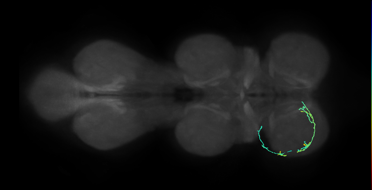 BANC_626:720575941611480650