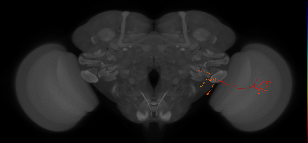 BANC_626:720575941612576787
