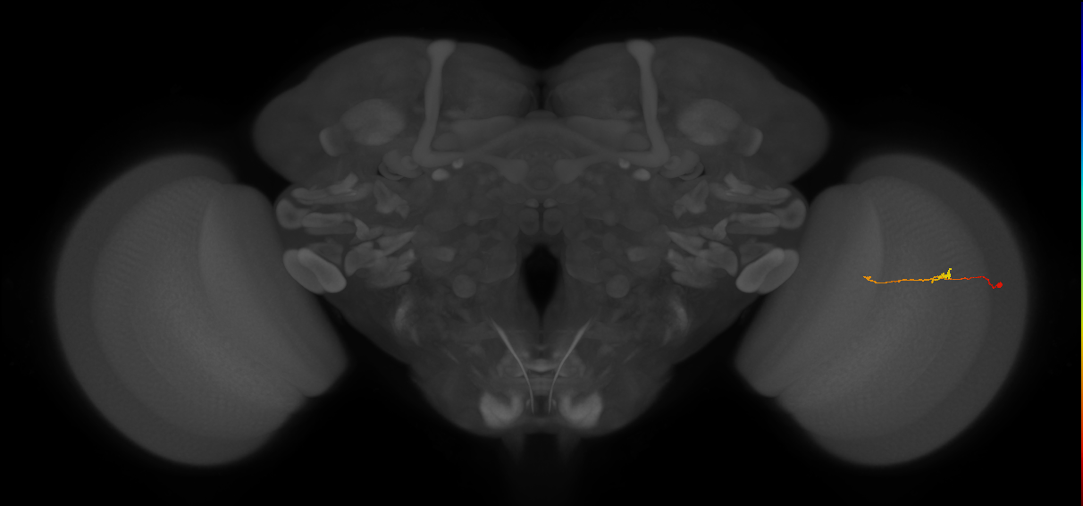 BANC_626:720575941615624917