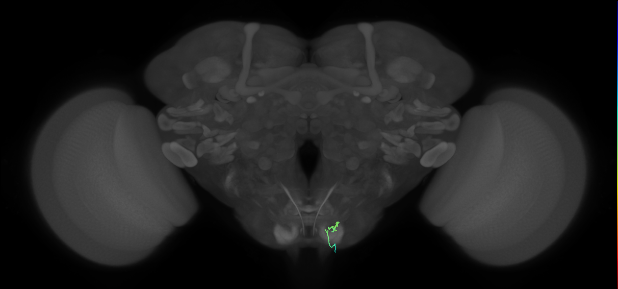 BANC_626:720575941618879615
