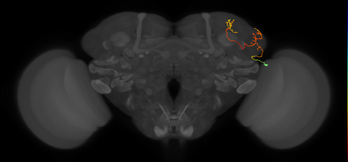 CB3468
