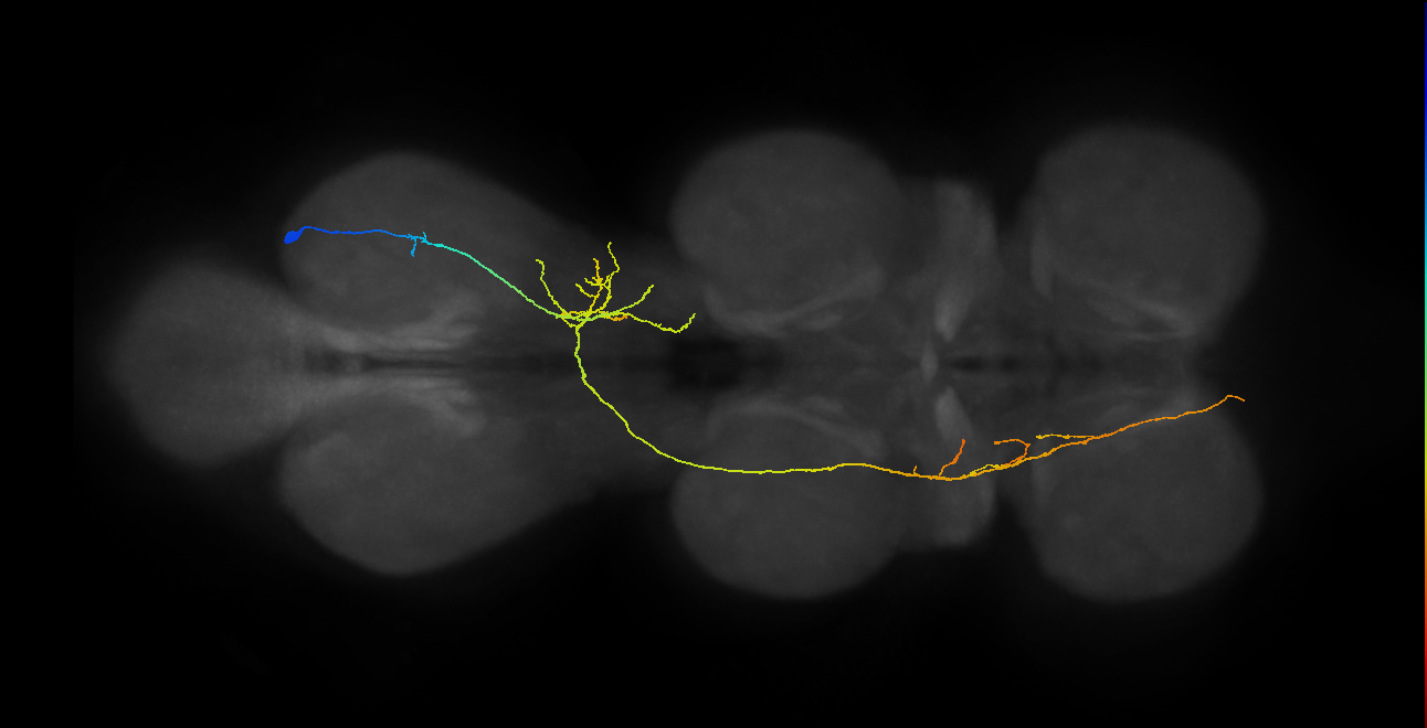 BANC_626:720575941623347594
