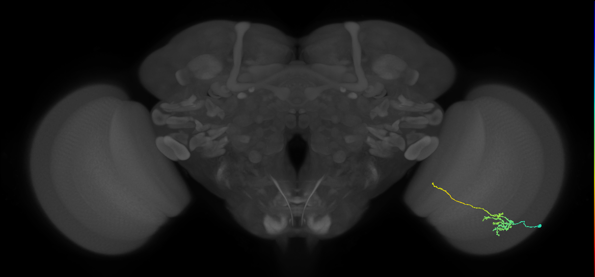 BANC_626:720575941623681532
