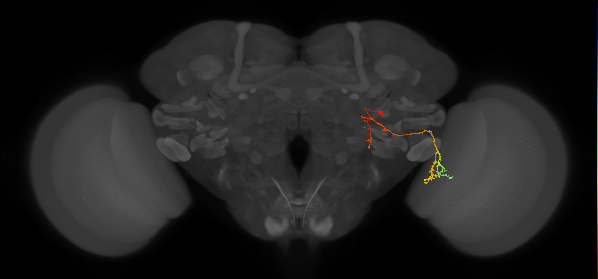 BANC_626:720575941624186826