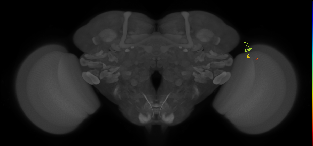 BANC_626:720575941624380298