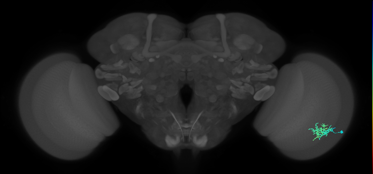BANC_626:720575941625805706