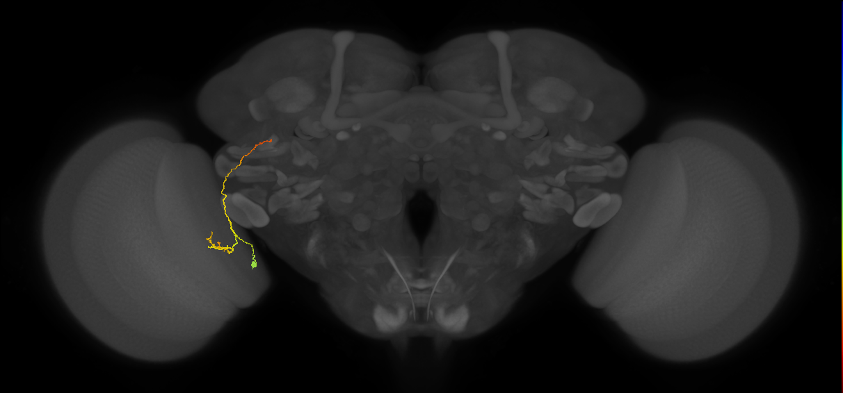 BANC_626:720575941626289051