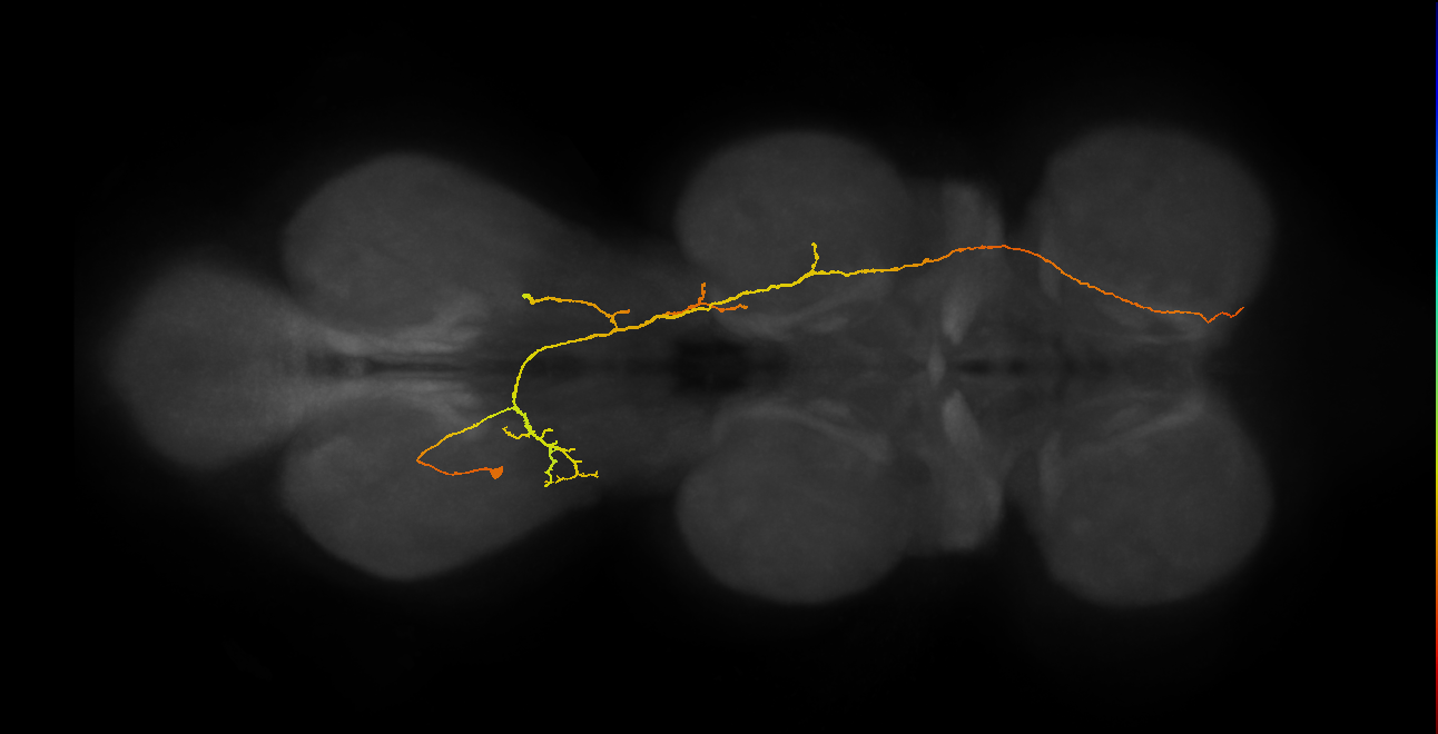 BANC_626:720575941589330743