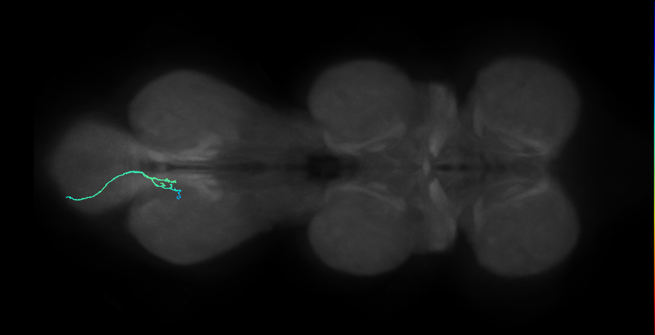 BANC_626:720575941589463122