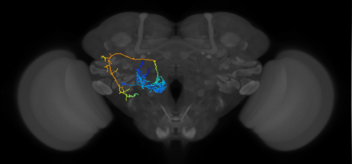BANC_626:720575941589888055