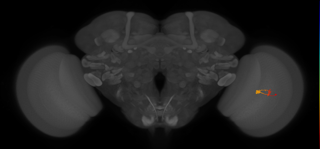 BANC_626:720575941592147307