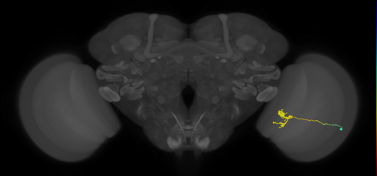 BANC_626:720575941594835751