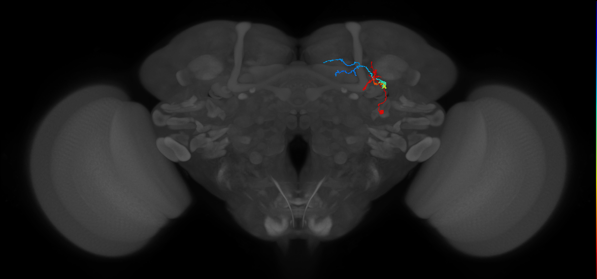 BANC_626:720575941594862375