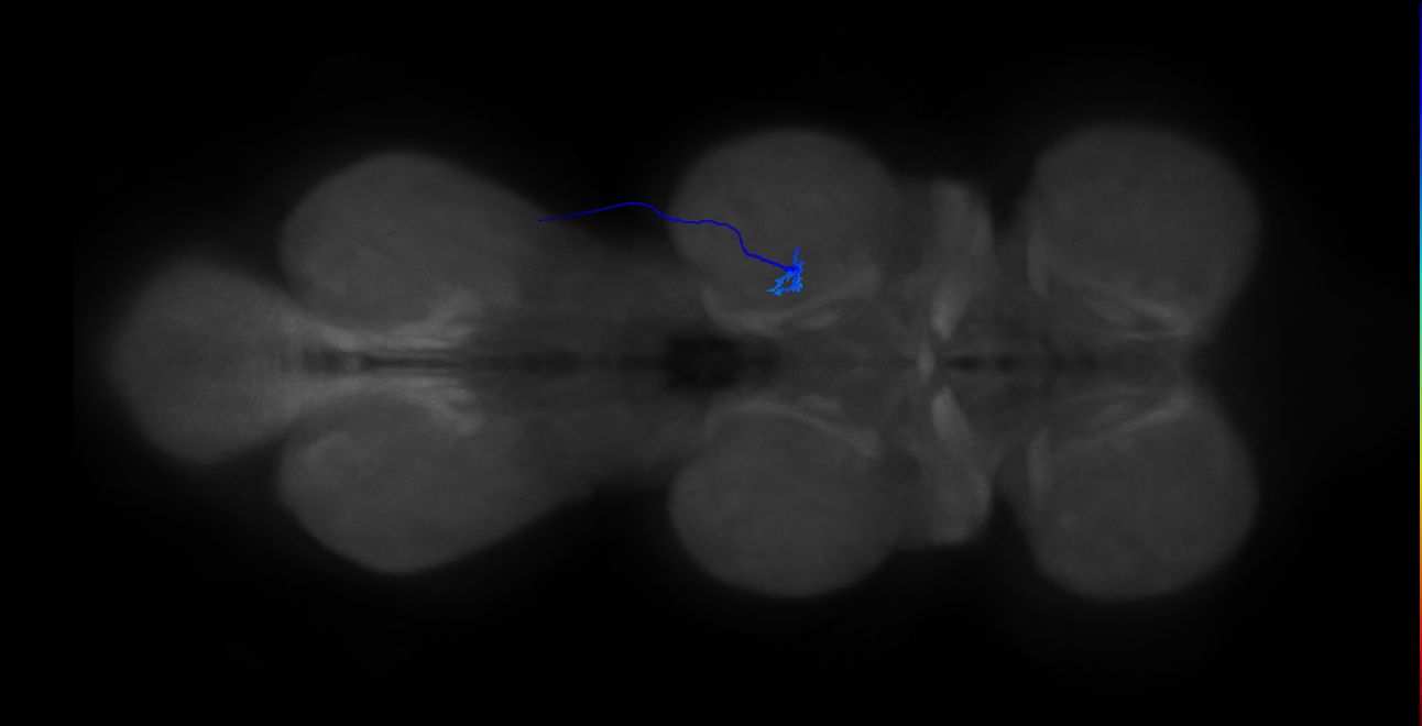 BANC_626:720575941595979164