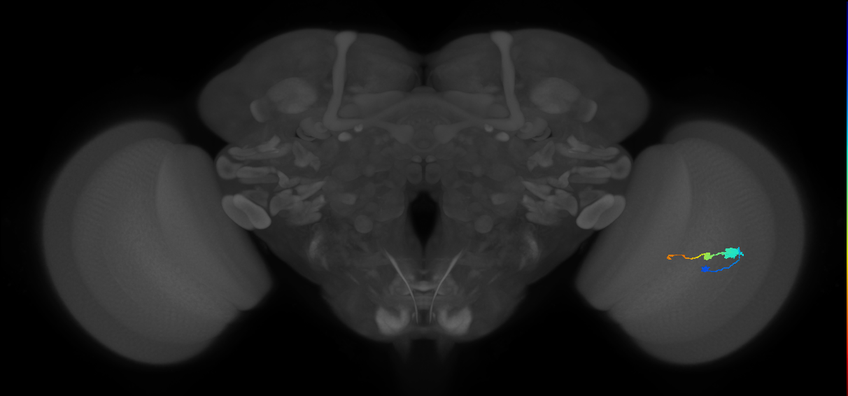 BANC_626:720575941596283525