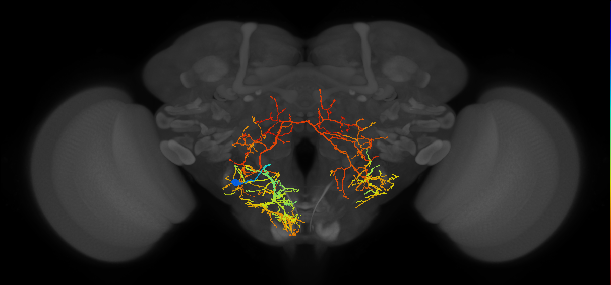 BANC_626:720575941598597020