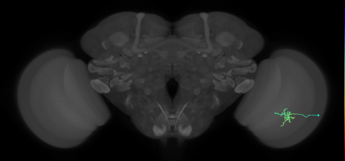 BANC_626:720575941600002601