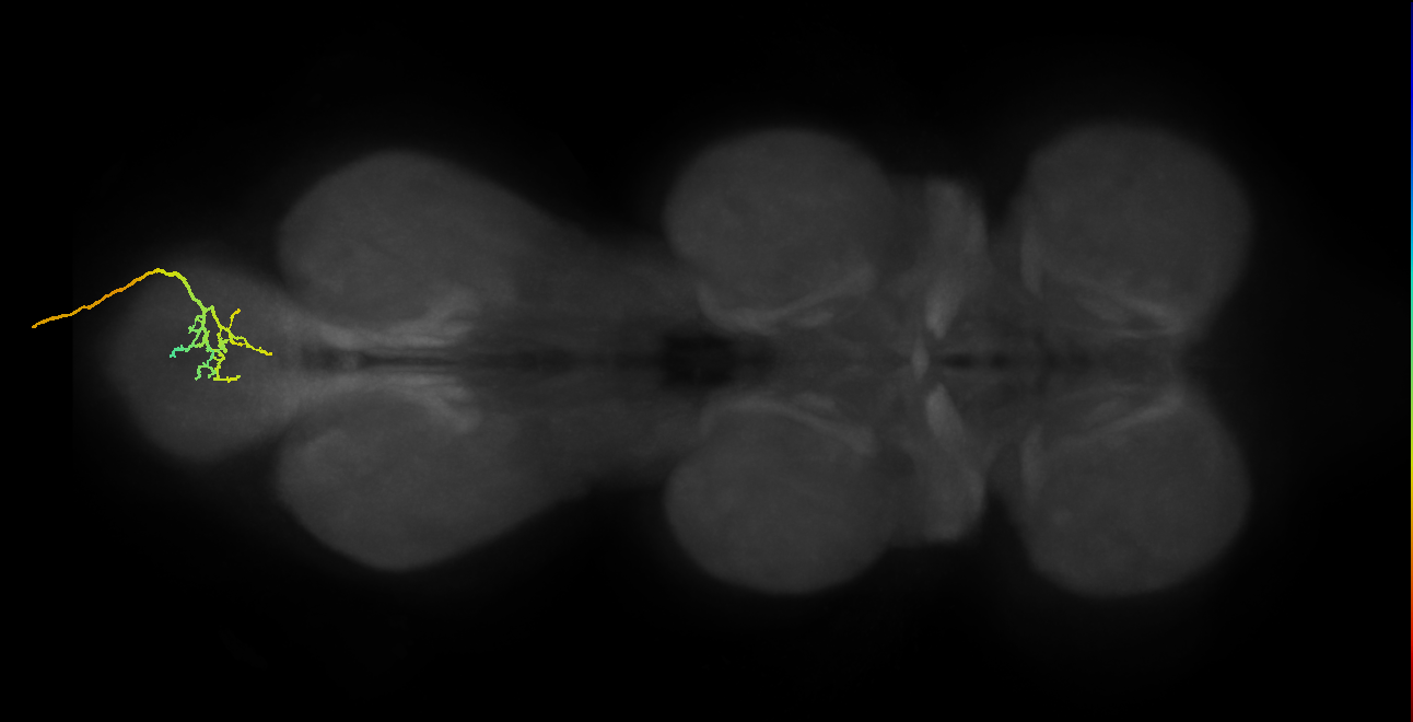 BANC_626:720575941602093246