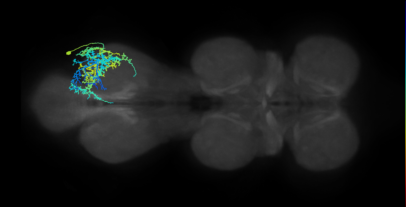 BANC_626:720575941603753401