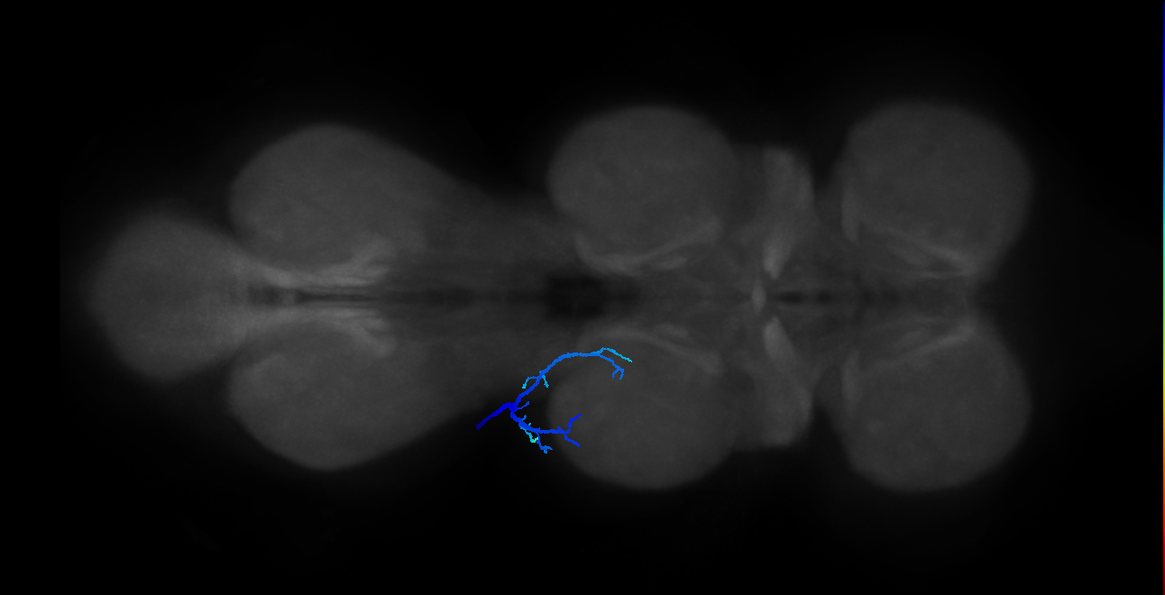 BANC_626:720575941605554366