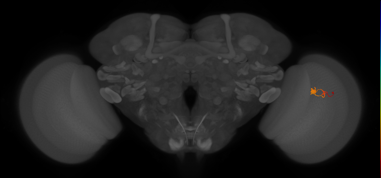 BANC_626:720575941573573897