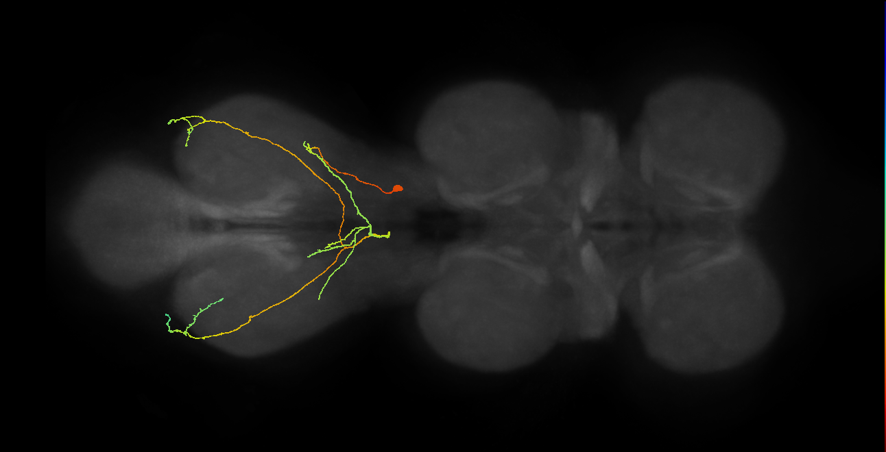 BANC_626:720575941573674249