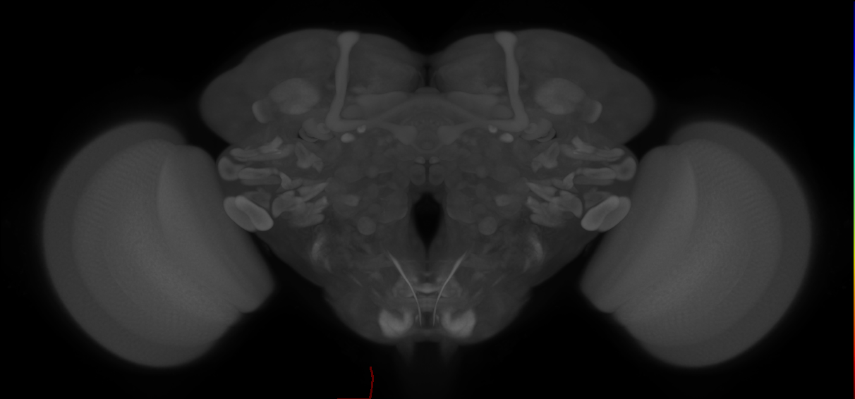 CvN_MNA2
