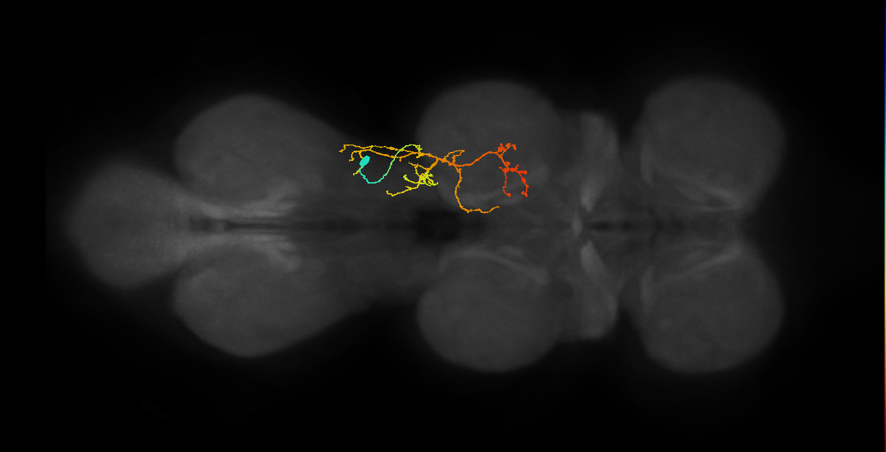 BANC_626:720575941574412943