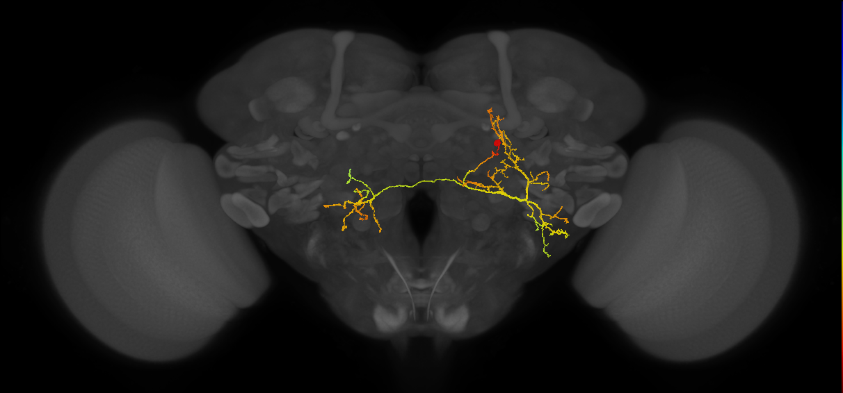 BANC_626:720575941574706077