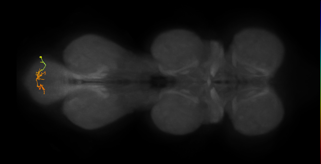 BANC_626:720575941575948377