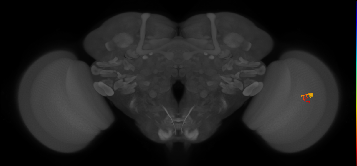 BANC_626:720575941576669017