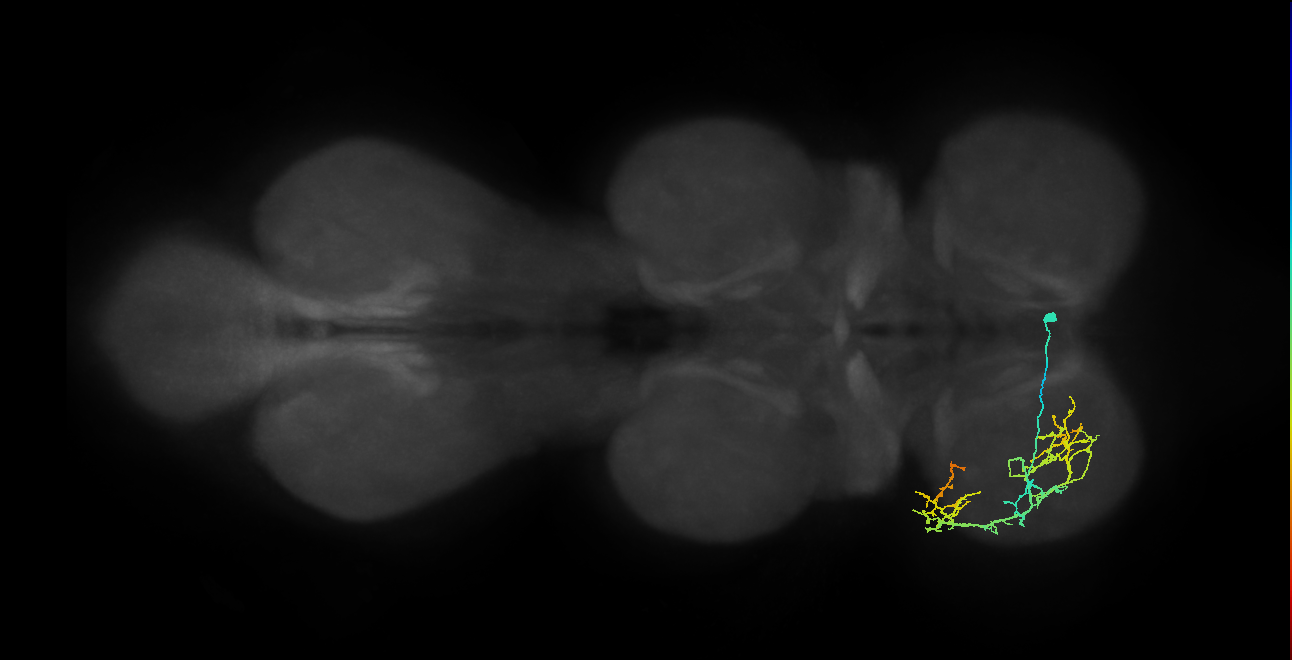 BANC_626:720575941577042769