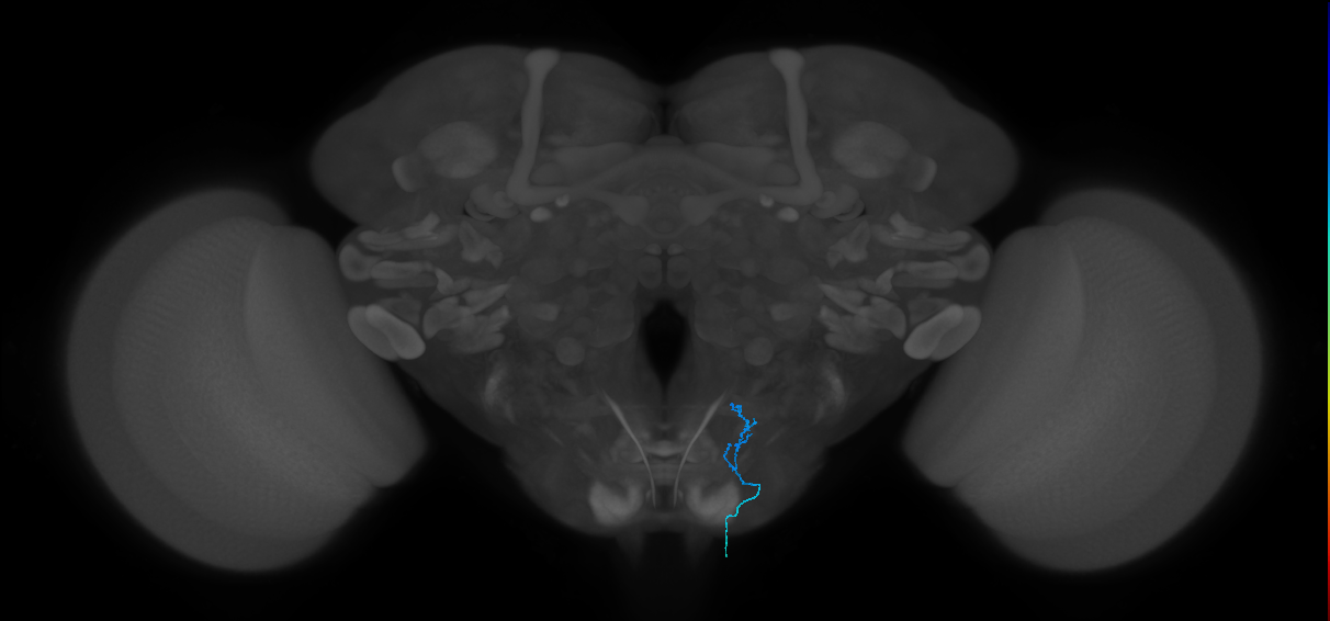 BANC_626:720575941577647449