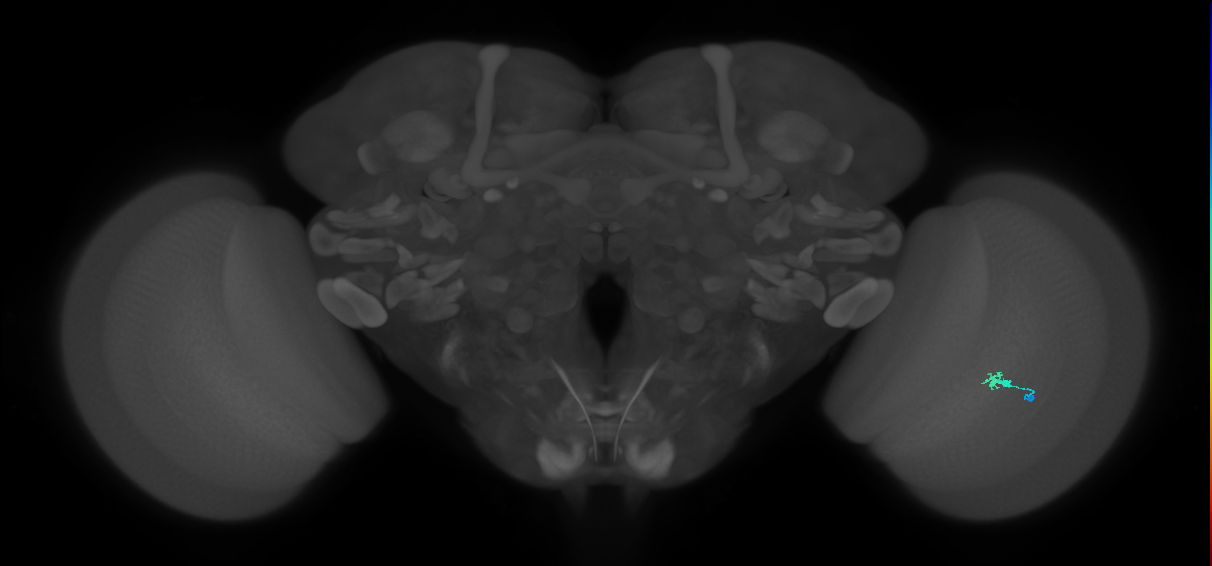 BANC_626:720575941578251857