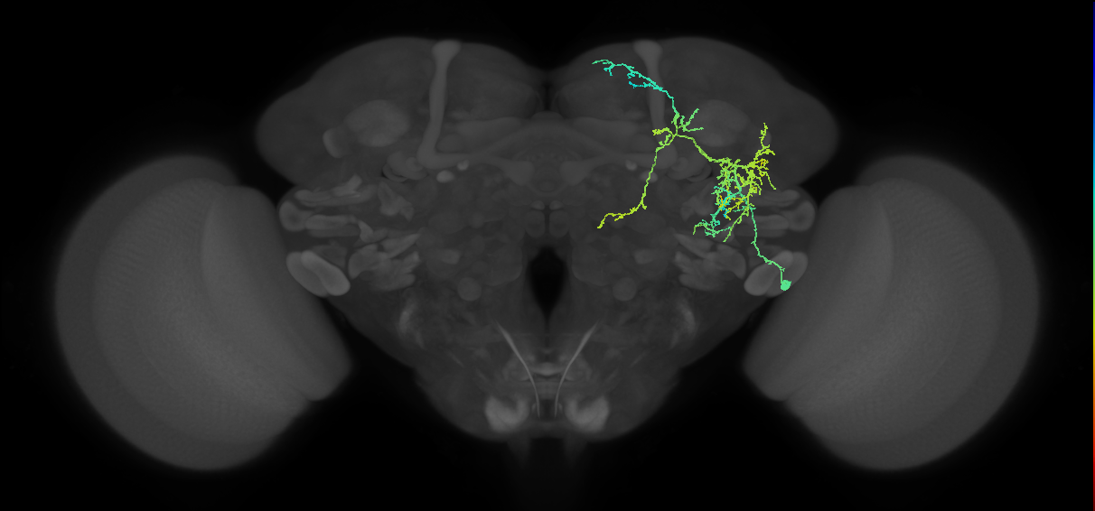 BANC_626:720575941578759257