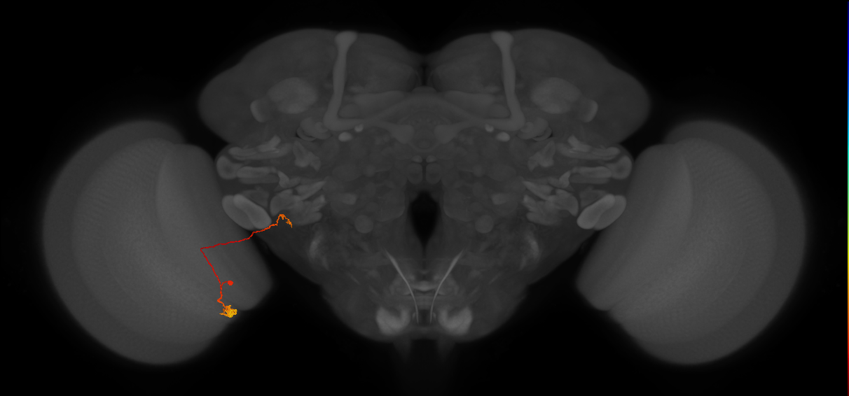 BANC_626:720575941579275345