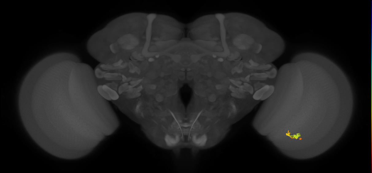 BANC_626:720575941579905913