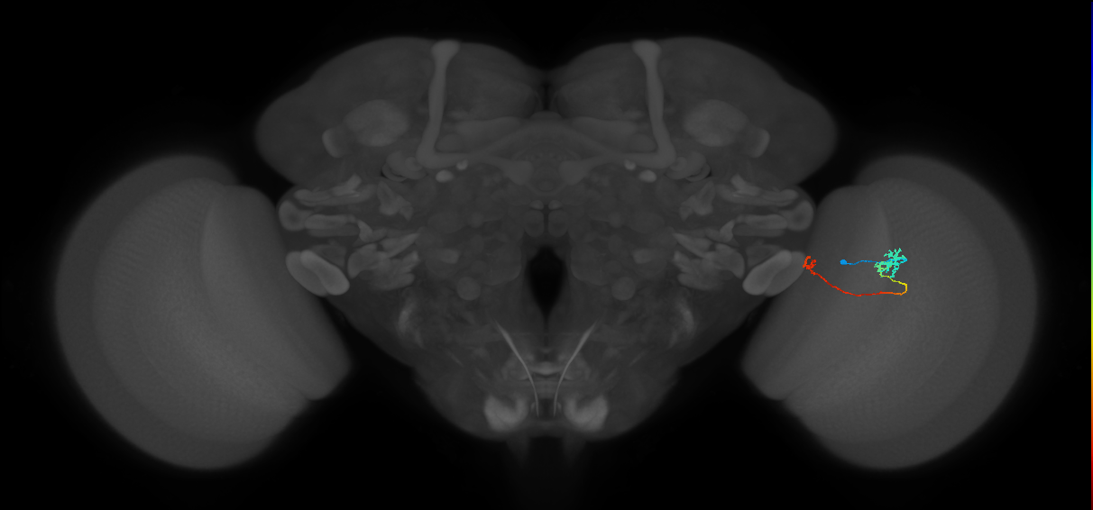 BANC_626:720575941582464095
