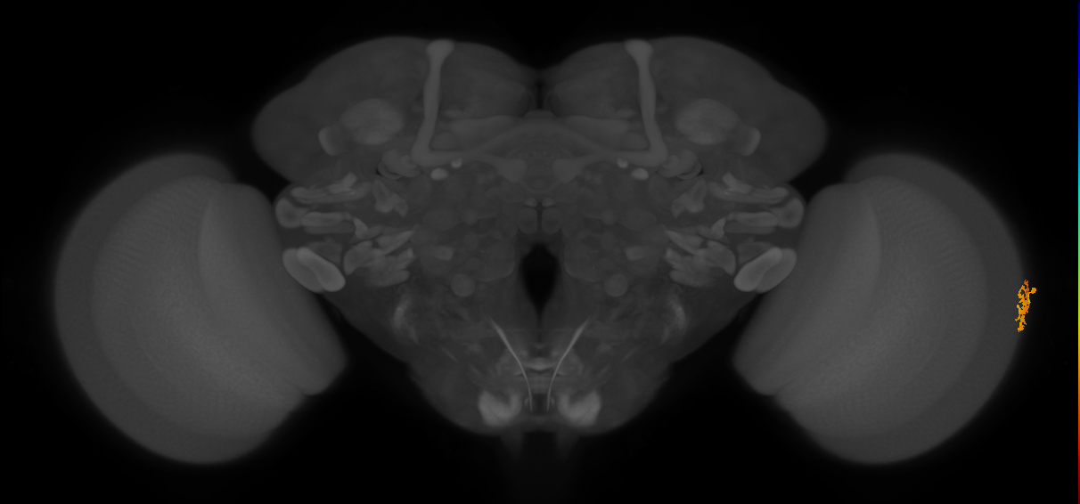 BANC_626:720575941584094047