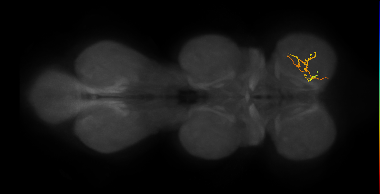 DNge012