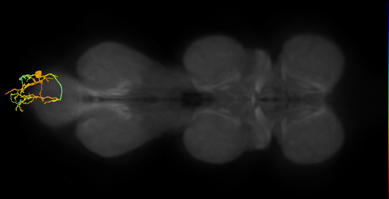 MNad52