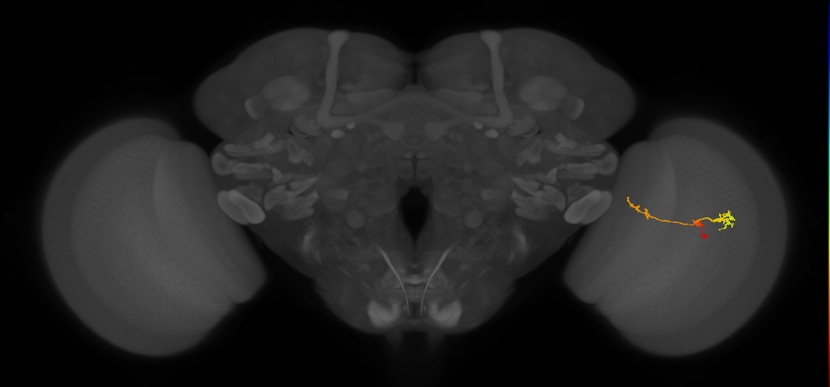 BANC_626:720575941588890878