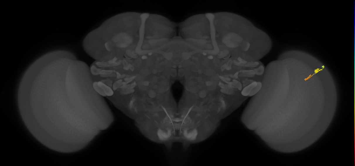 BANC_626:720575941561722536