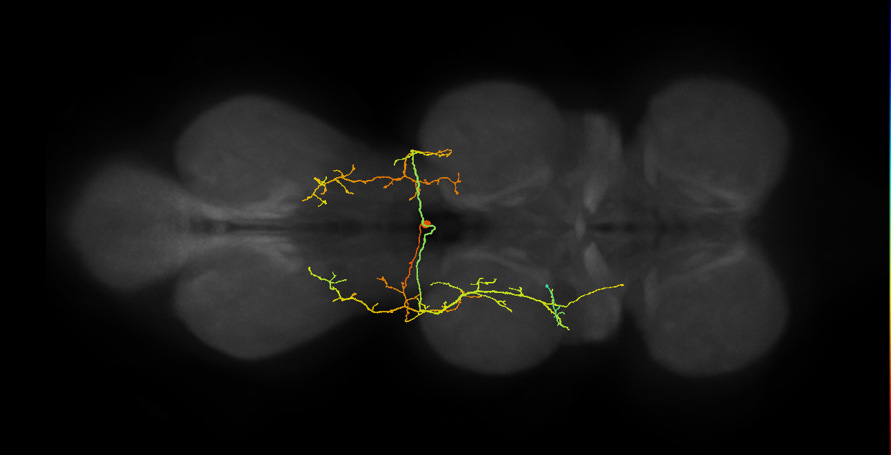 BANC_626:720575941562321671