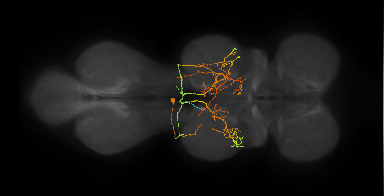 BANC_626:720575941562339079