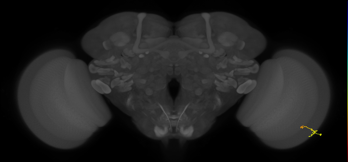 BANC_626:720575941562854312