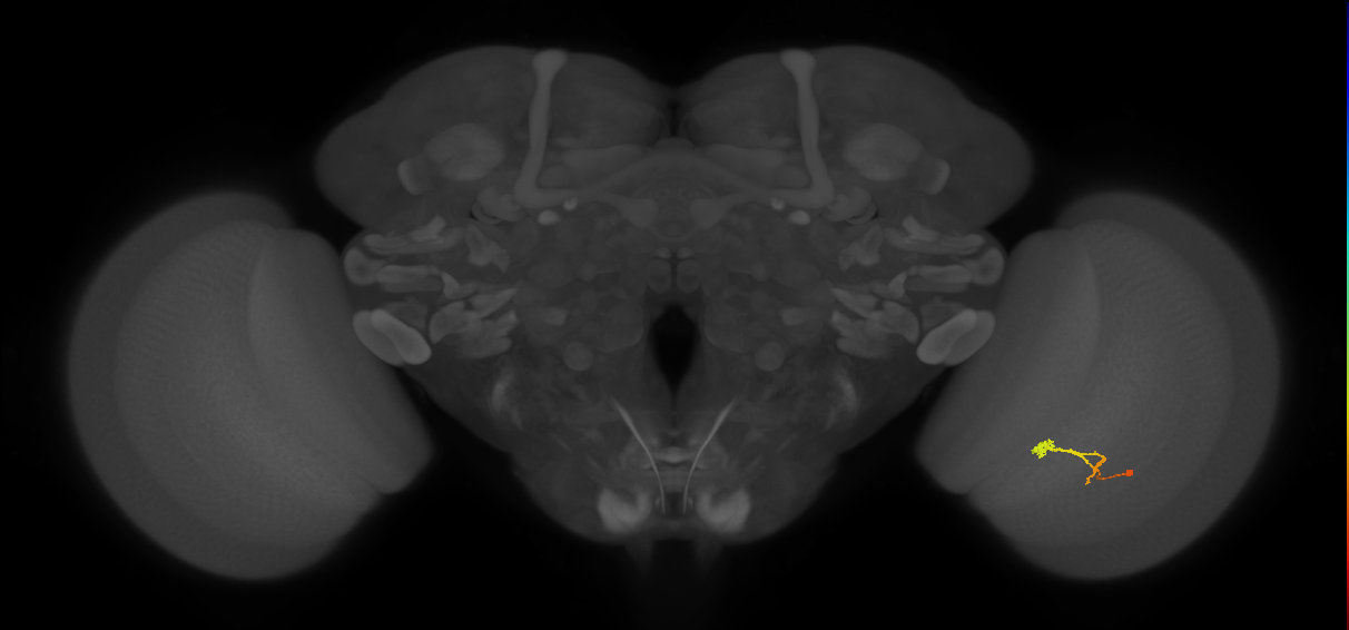 BANC_626:720575941563420160