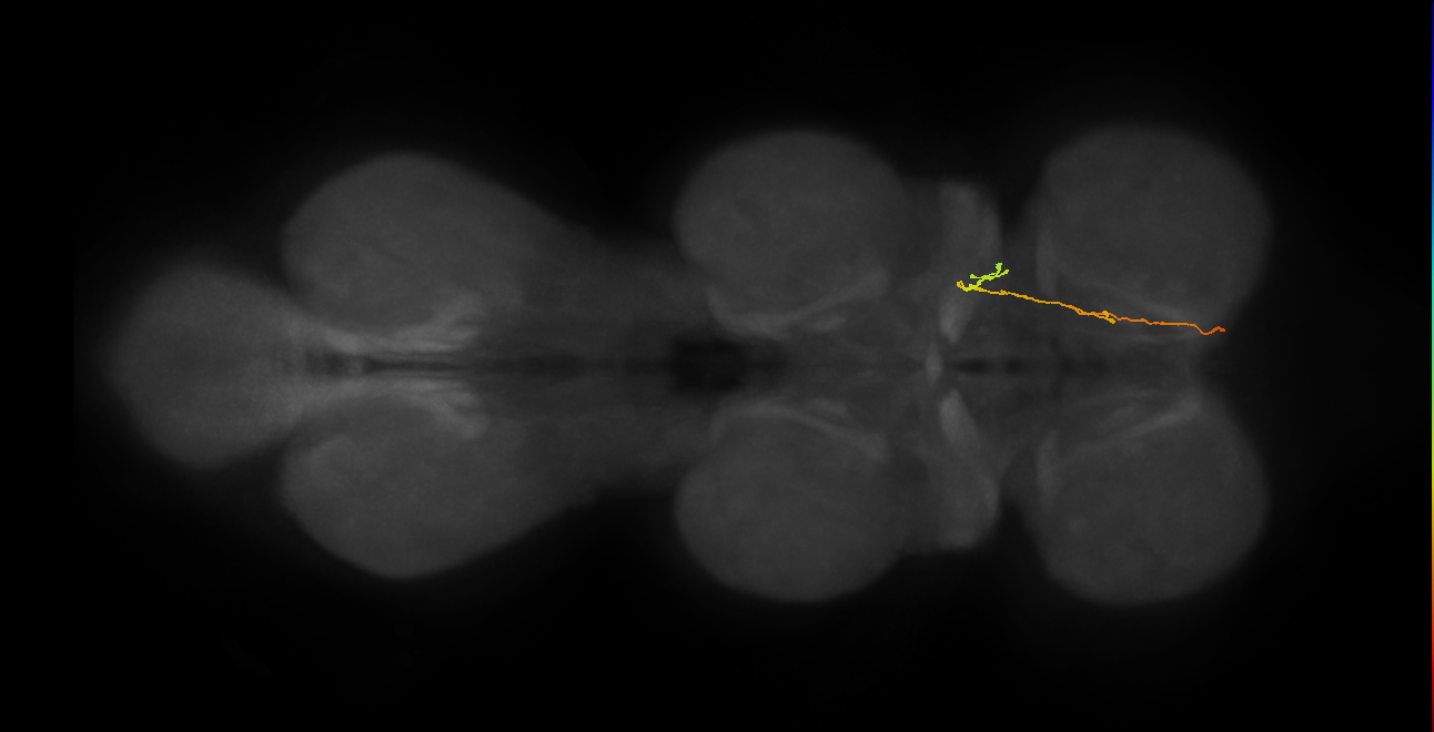 BANC_626:720575941564402023