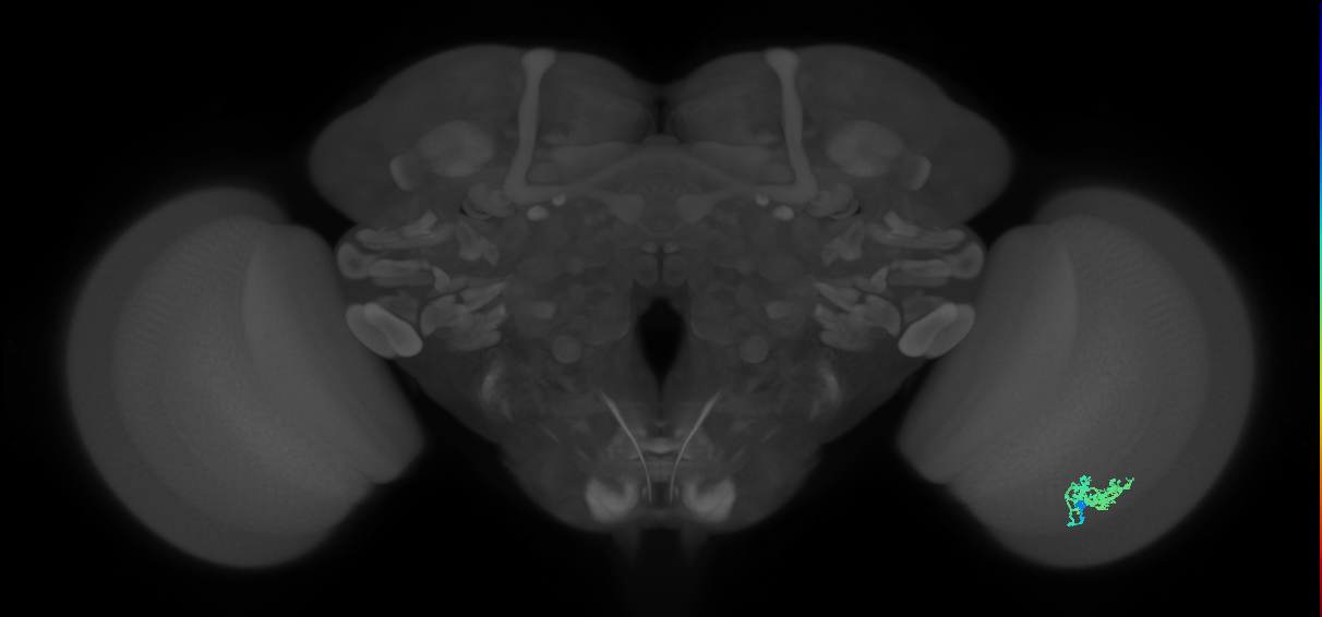 BANC_626:720575941564777874