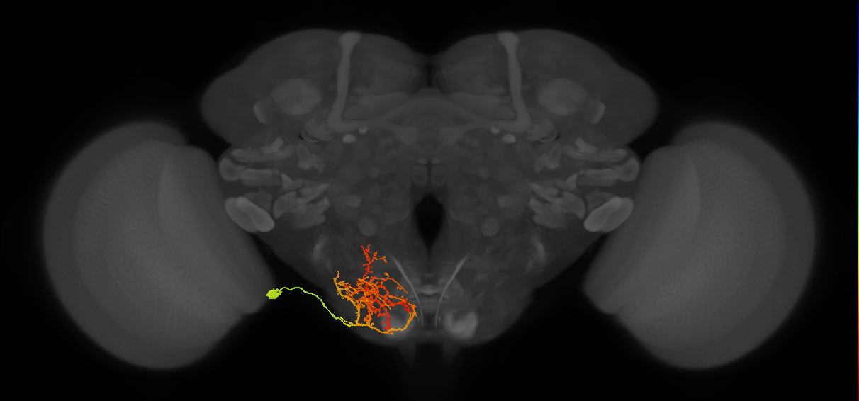 BANC_626:720575941564797847